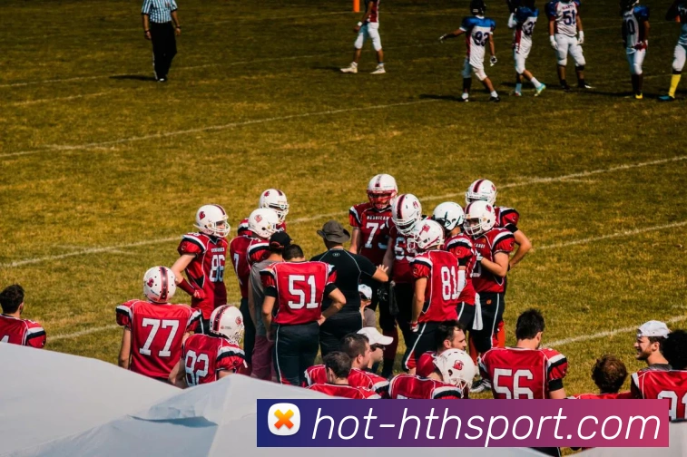 hth体育平台生态图